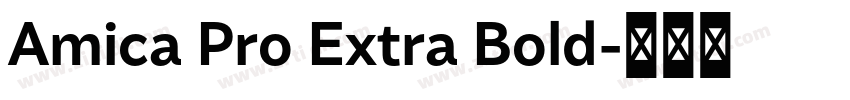 Amica Pro Extra Bold字体转换 Amica Pro Extra Bold字体转换